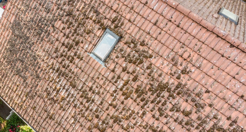 Sky Scan Surveys | Drone Inspection Services UK – Roof, Structural & Industrial Inspections Roof Inspection roof