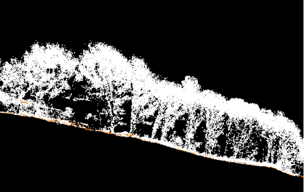 Point cloud visualisation showing individual trees on sloped terrain with white and orange colour-coded elevation points