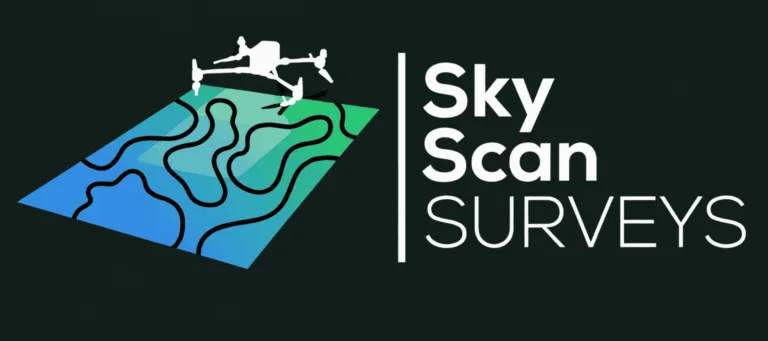 Sky Scan Surveys